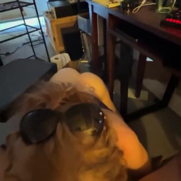 Fullmetal Ifrit Deepthroat Blowjob Video Leaked
