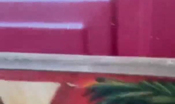Amber Ajami Fuck Video Leaked
