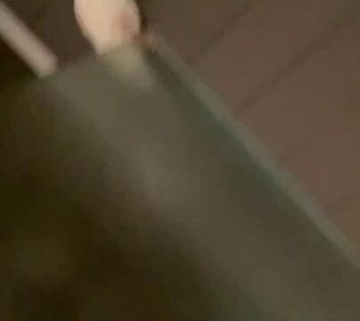Orenda ASMR Nude Shower Video Leaked