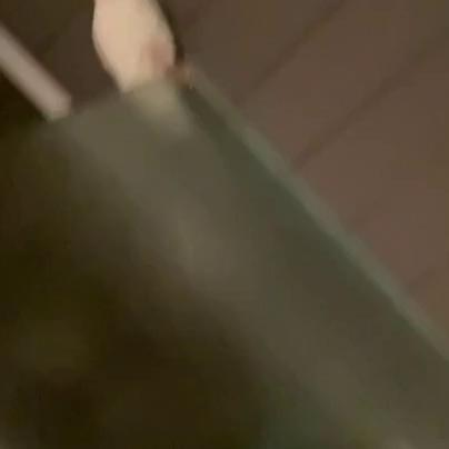 Orenda ASMR Nude Shower Video Leaked