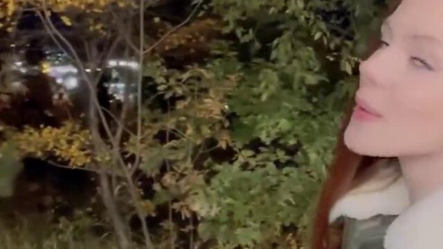 Arina Fox Ferris Wheel Blowjob Onlyfans Video Leaked